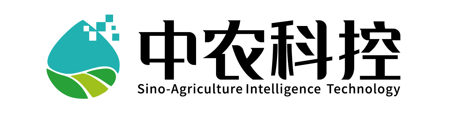 我的网站